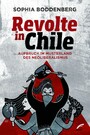 Revolte in Chile - Aufbruch im Musterland des Neoliberalismus